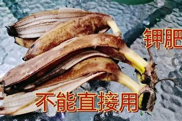 进口灰霉病特效药