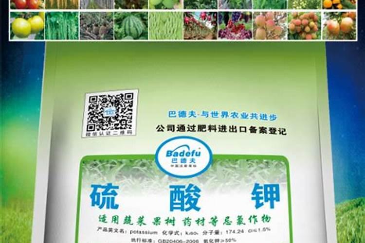 大豆开花期可以打药吗 开花期养护管理方法
