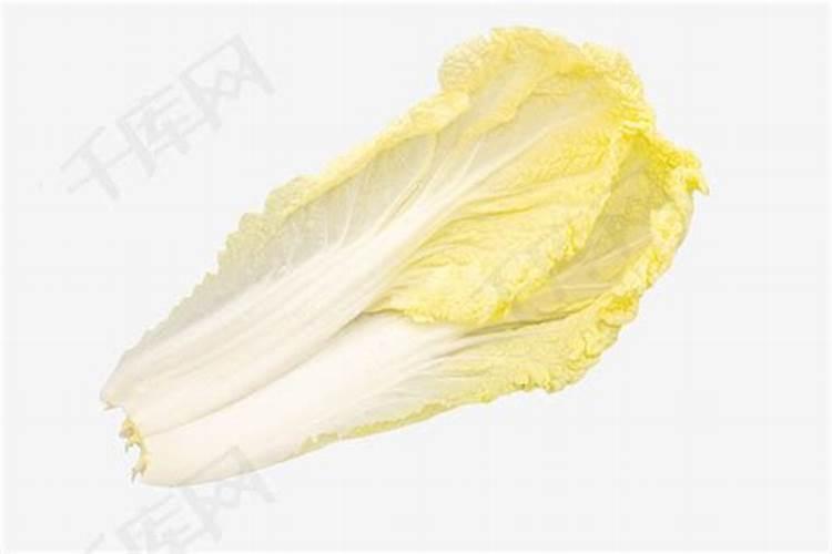 菜地常用的氮化肥有哪几种？各有什么特性？