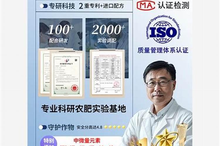 粽子叶需要泡多久
