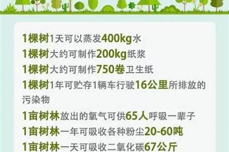 4年的梨树还不到1米高,现在施肥来得及么？
