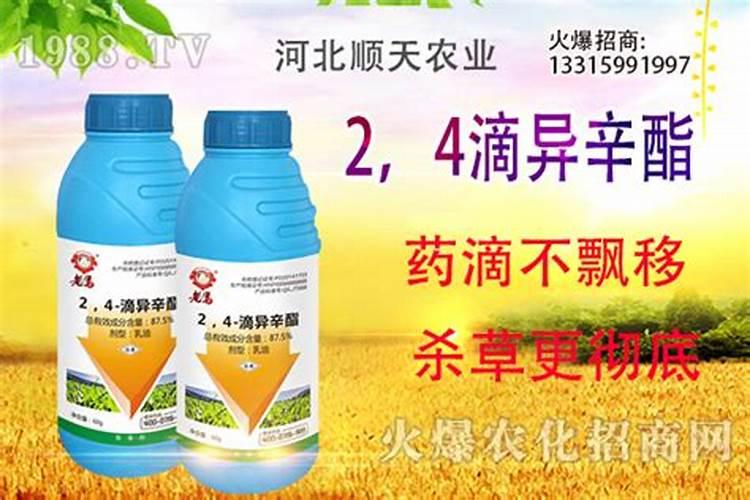 用硫酸除大树需兑水吗？