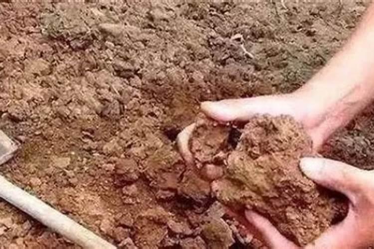 碱性土壤怎样施肥