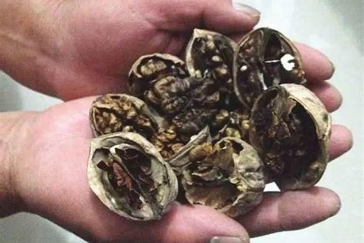 核桃仁能直接放花盆做花肥吗