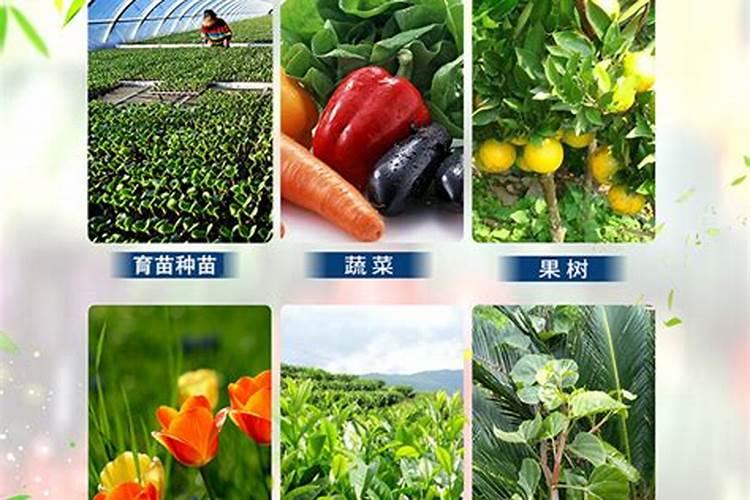 土耳其帕木克堡我国成因类似的钙华景观