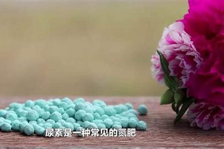 矿源黄腐酸钾哪个厂家好