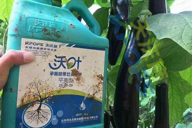 目前化肥价格多少钱一吨？为何都涨疯了？2022年5月化肥价格行情