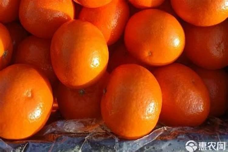 沃柑什么时候成熟？沃柑什么时候放秋梢