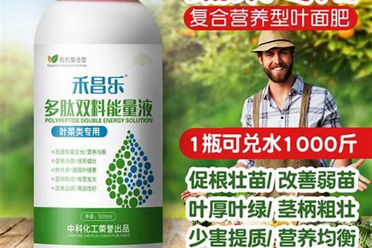 葡萄上怎么用芸苔素