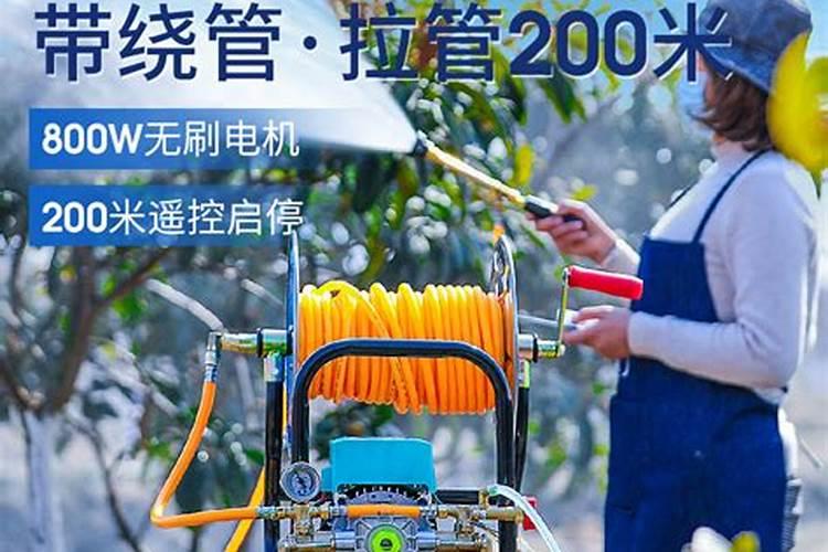 能让红薯高产的施肥方法