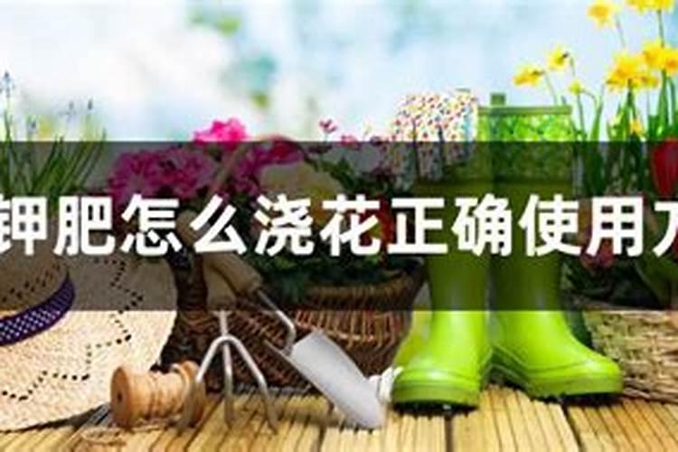 盆栽花一般施什么肥料