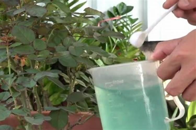 高磷水溶肥的主要作用,什么时候用效果好