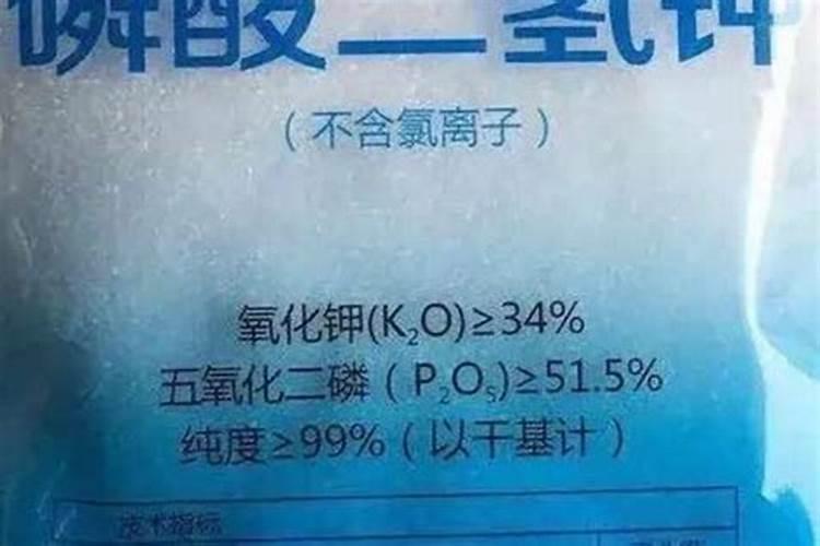 处暑时候应该进行什么农事活动 处暑节气都有什么农事活动