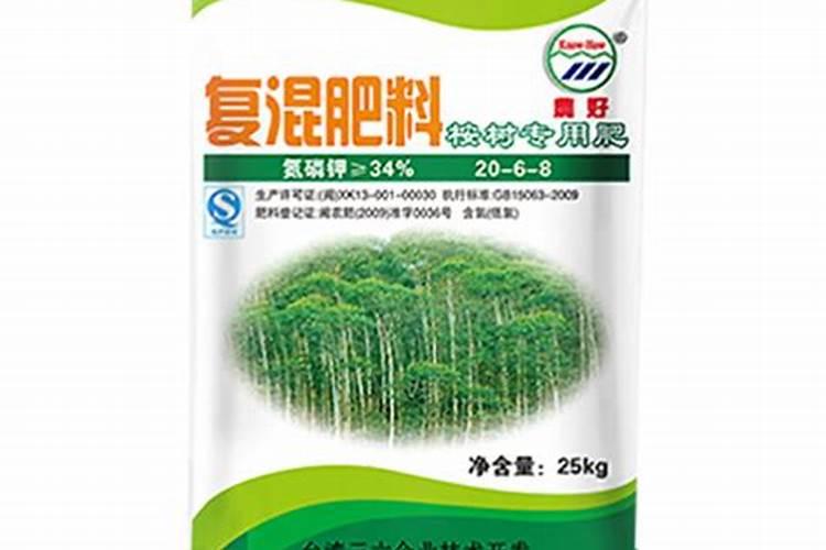棕树施肥的方法