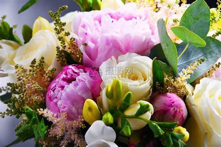 大花蕙兰鲜切花养护方法