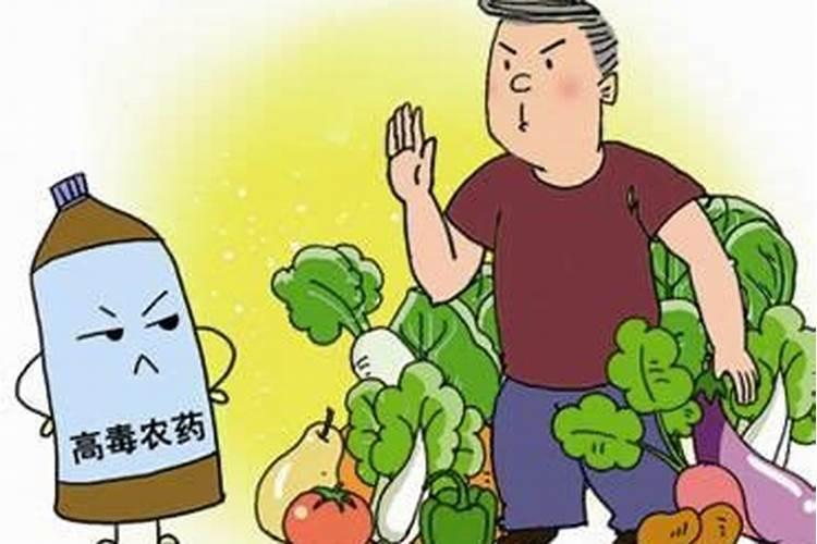 花椒树冬天怎么防冻