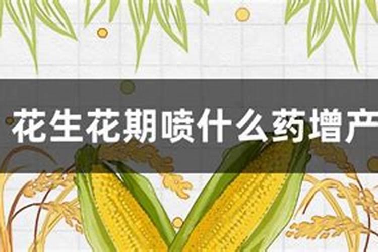 油茶开花时期应该喷何种叶面肥？