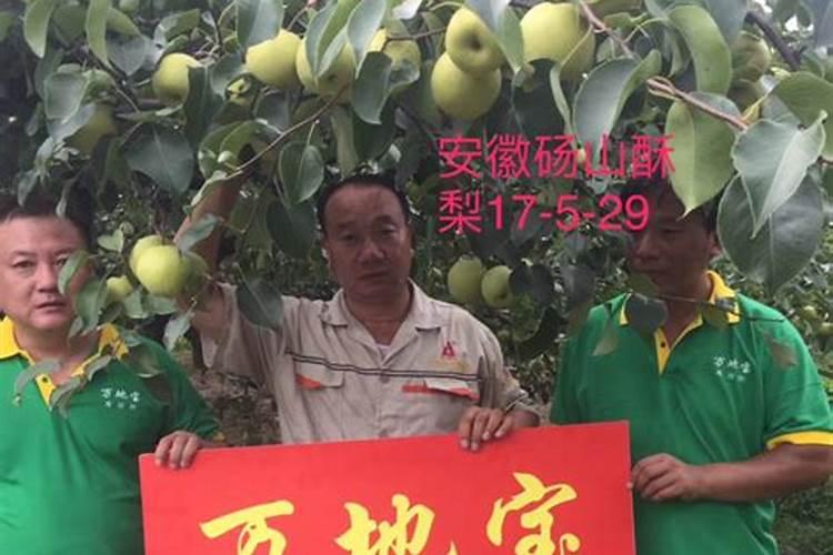 早春桃树开花前适量追施肥料,有什么作用？