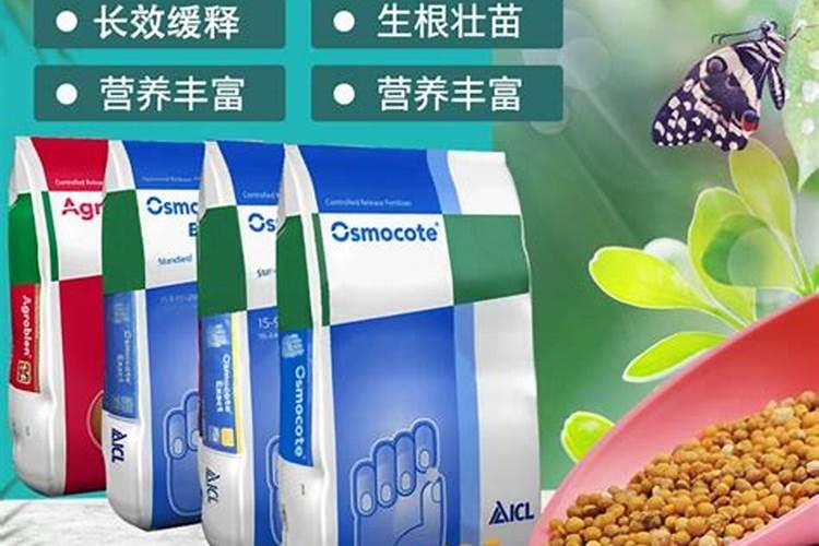 花草种子出苗后何时施肥