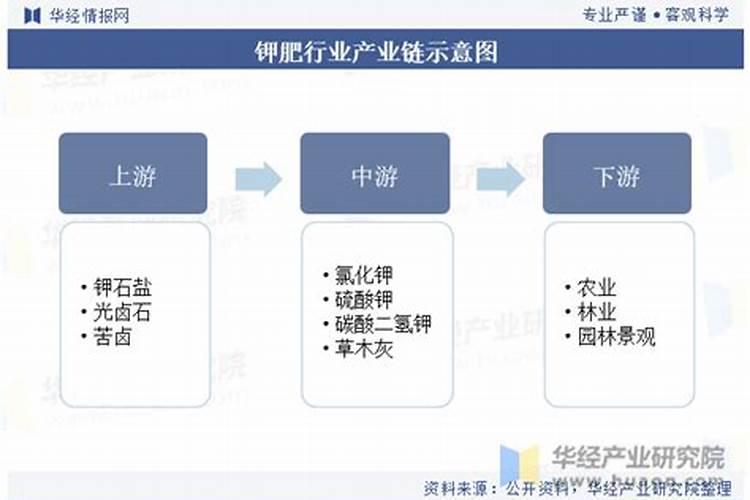 A股:严重低估的5只“供销社”龙头股,未来最具成长潜力(名单)百度知...