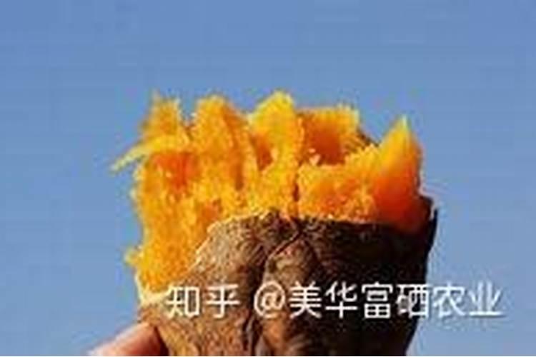 鱼肝油与维生素B12同服的作用？  百度宝宝知道