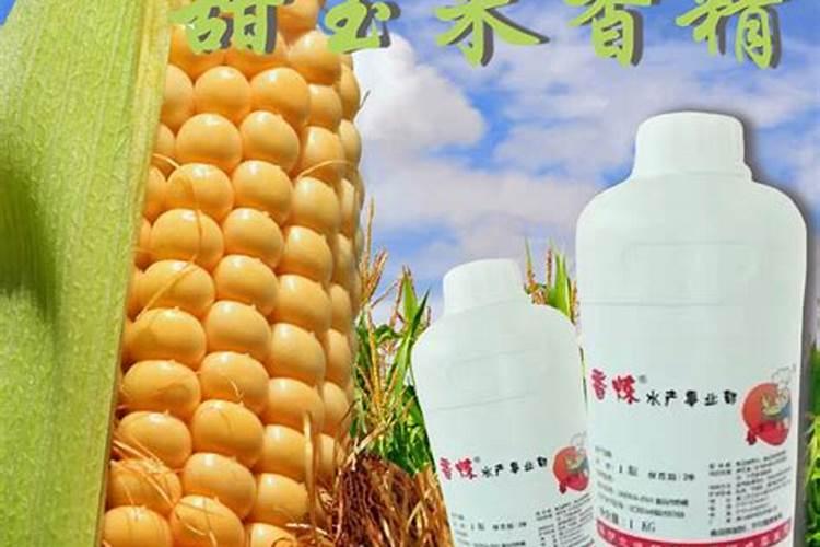 十米粥的功效与作用,粥米的好处
