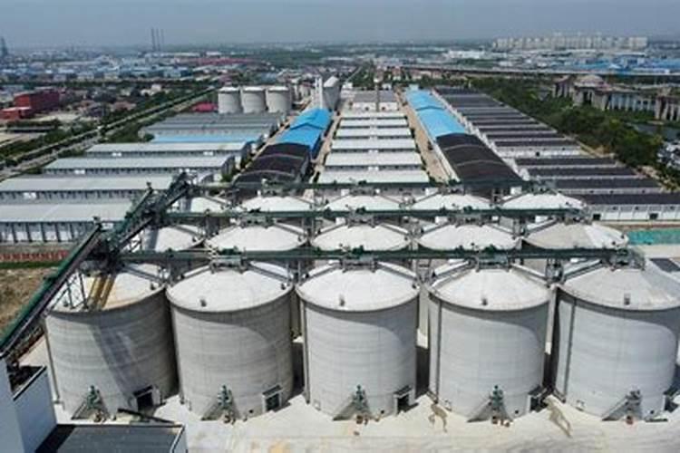 富硒蚯蚓养殖技术: