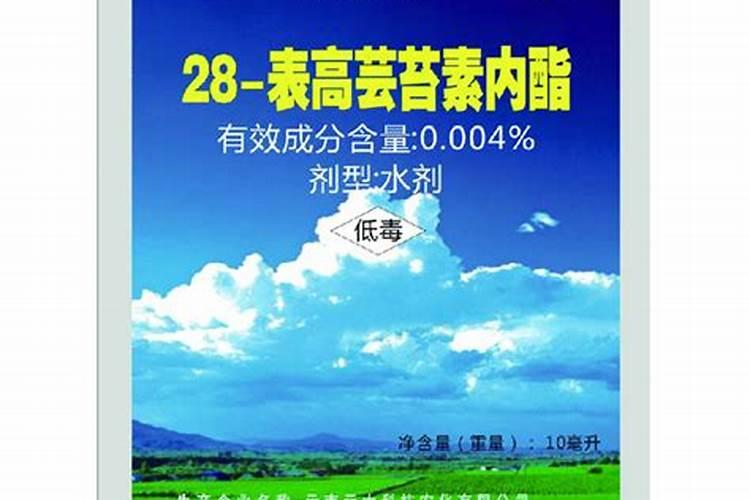 叶面肥是有机肥吗 有机肥可以叶面喷施吗