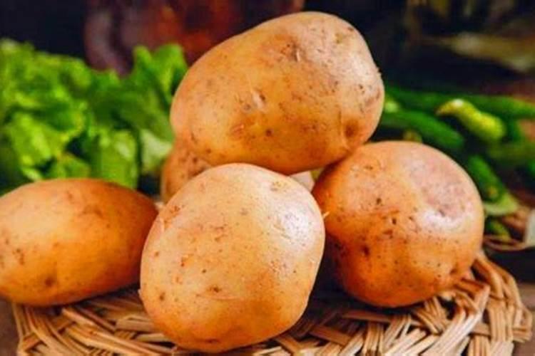 种土豆什么时候施肥