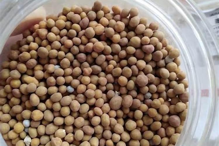 老师们,我想种大棚西瓜,不知道一亩地要施用多少肥料,上什么肥料好？