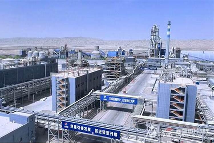 新疆天海绿洲集团公司的分公司