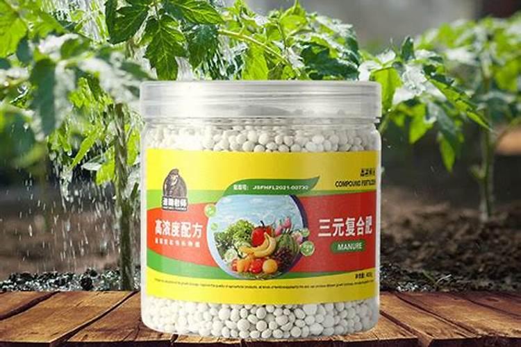 兰花适合用什么肥料