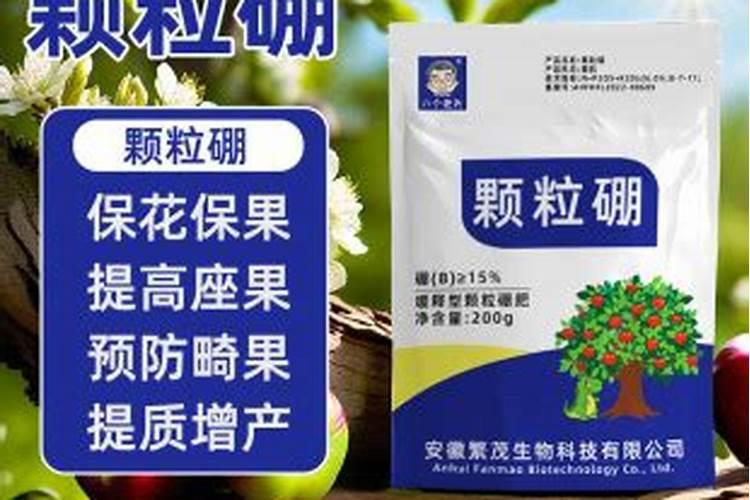 什么菜不要天天浇水才能吃