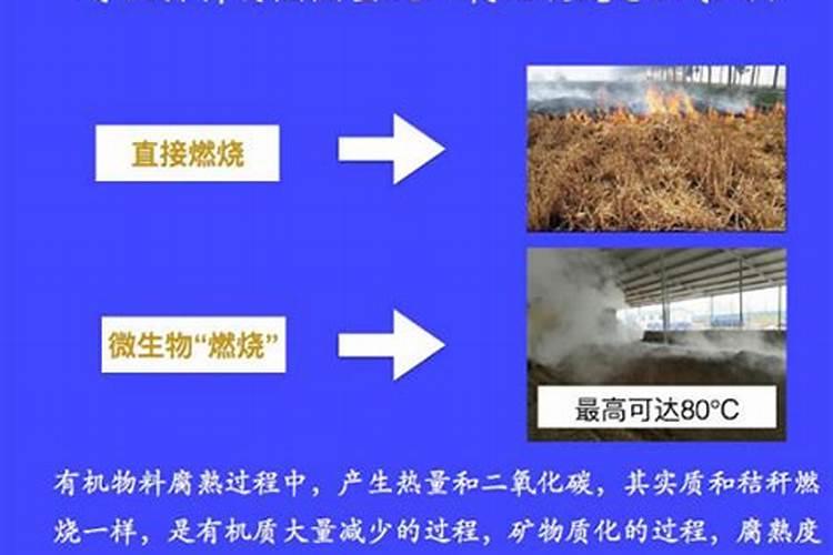 什么样的有机肥比较好？