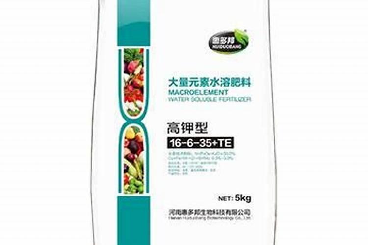 油茶什么时候采摘最佳 油茶籽什么时候采摘