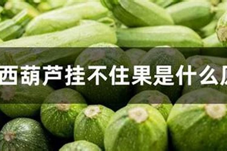 小麦打几遍芸苔素
