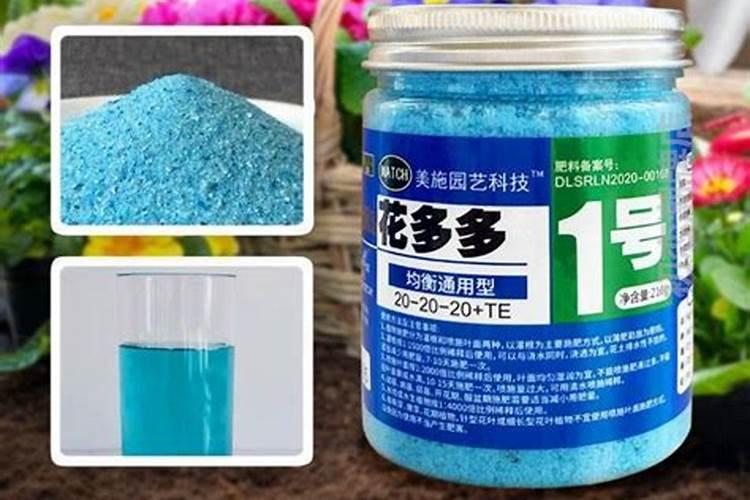 冬天发财树叶子发黄,这是为什么？
