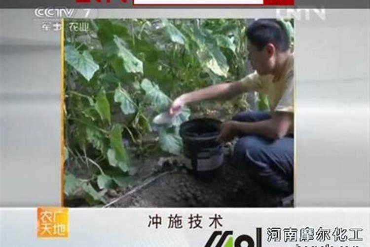 优肽氮肥最忌三种东西