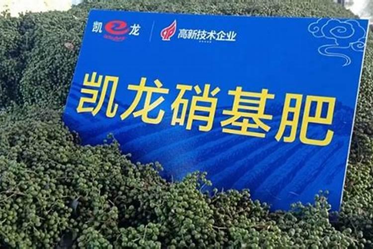 巨峰葡萄成熟期追什么肥料最好