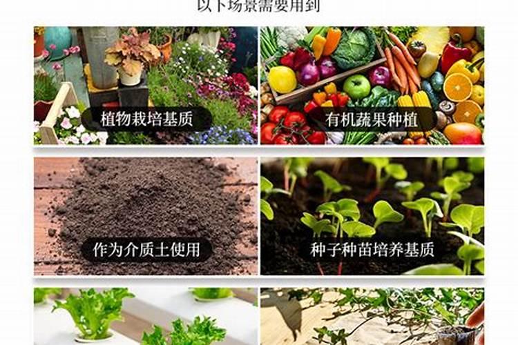 种菜用什么有机肥料最好