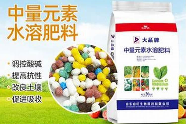 大豆发霉可以吃吗？