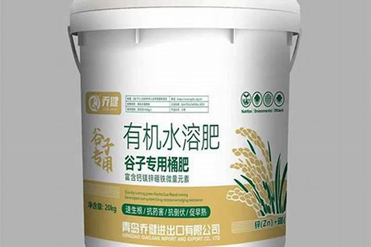 12种花,堪称“耐阴王”,比绿萝好看一万倍!