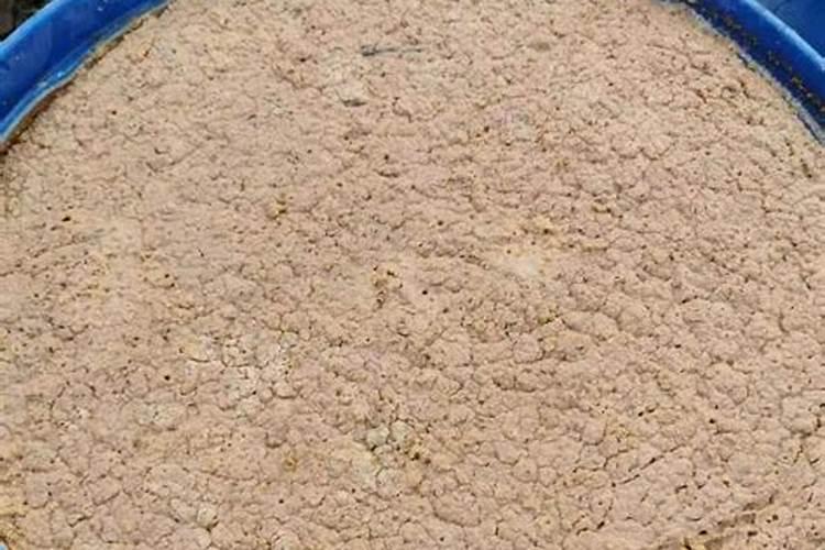 用红糖当冲施肥,冲茄子好吗