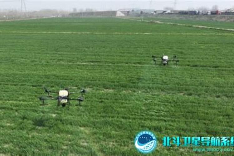 油菜什么时候施硼肥