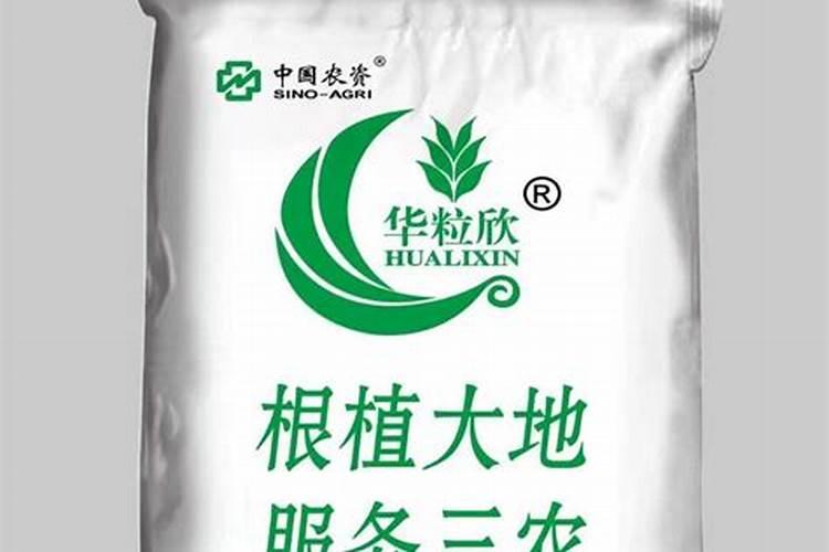 西瓜怎么种植？有哪些种植管理技巧？怎样才能种出高产优质的好西瓜？