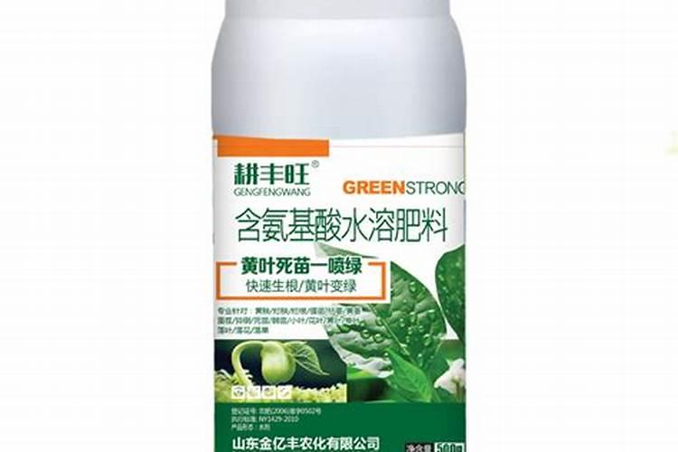 辣椒怎么育苗,辣椒育苗时间及技术介绍