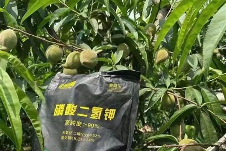 邦尼亚磷酸钾的作用
