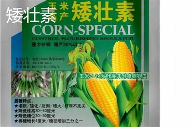 多效唑喷施严重,用什么药能救