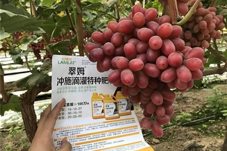 无人机果树飞防农药稀释倍数怎么算