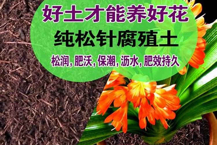 黄腐酸钾的作用和效果有哪些？
